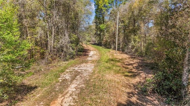 7700 Iron Rush Road, Wilmer, AL 36587
