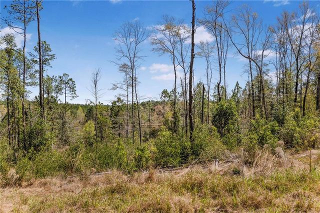 7700 Iron Rush Road, Wilmer, AL 36587