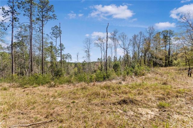7700 Iron Rush Road, Wilmer, AL 36587