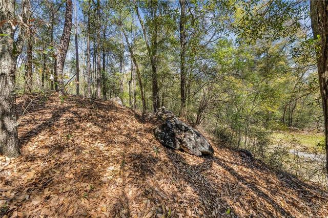 7700 Iron Rush Road, Wilmer, AL 36587