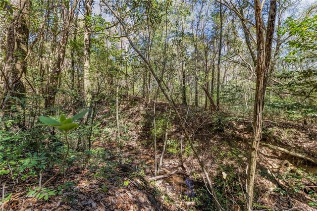 7700 Iron Rush Road, Wilmer, AL 36587
