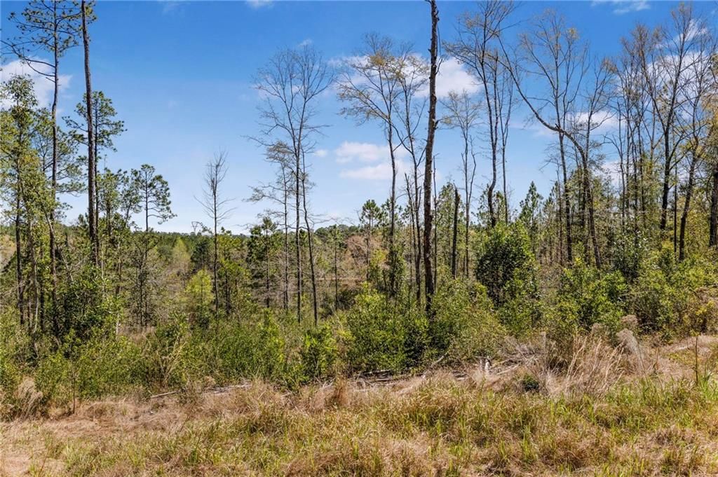7700 Iron Rush Road, Wilmer, AL 36587 — photo 4