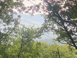 Lt M176 Walnut Ridge, Ellijay, GA 30536