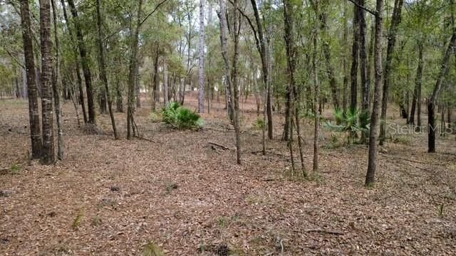 SW 73 LOOP, Dunnellon, FL 34432