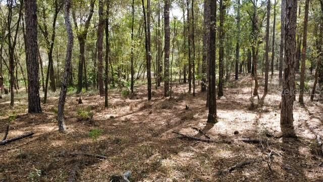 SW 73 LOOP, Dunnellon, FL 34432