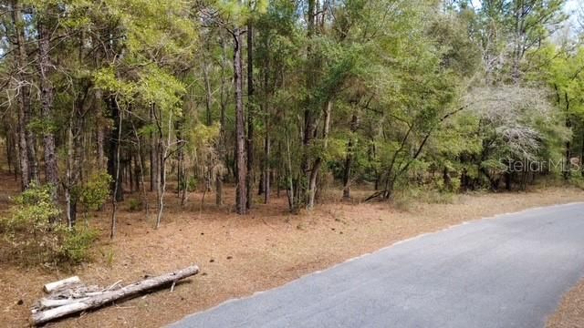 SW 73 LOOP, Dunnellon, FL 34432