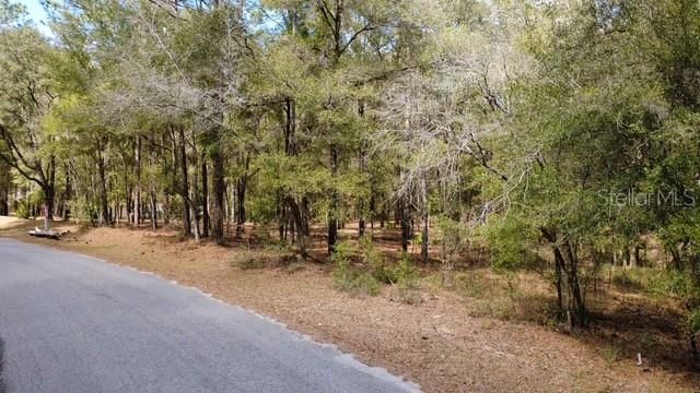 SW 73 LOOP, Dunnellon, FL 34432