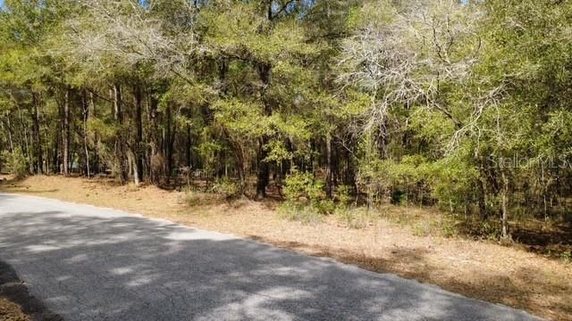 SW 73 LOOP, Dunnellon, FL 34432
