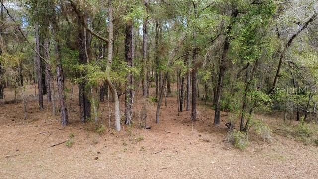 SW 73 LOOP, Dunnellon, FL 34432