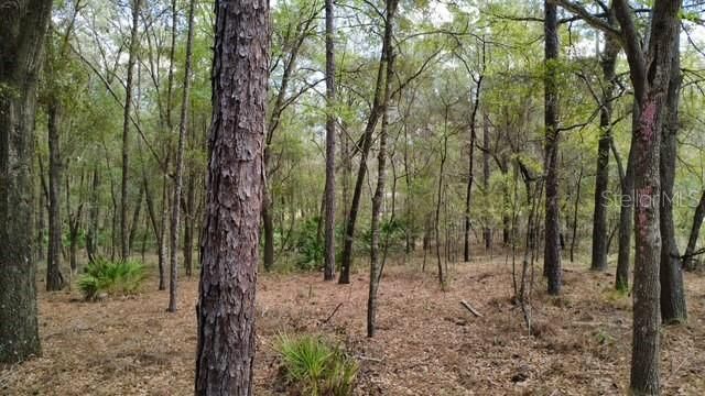 SW 73 LOOP, Dunnellon, FL 34432