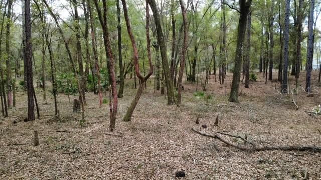 SW 73 LOOP, Dunnellon, FL 34432