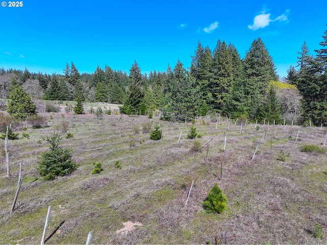 101 COOKE Rd, White Salmon, WA 98672