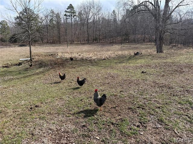 1547 Madison 248, Fredericktown, MO 63645