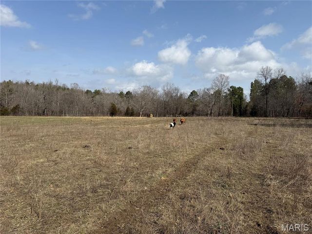 1547 Madison 248, Fredericktown, MO 63645