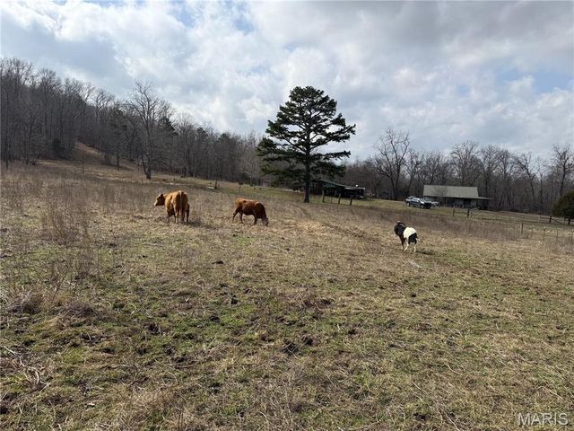 1547 Madison 248, Fredericktown, MO 63645