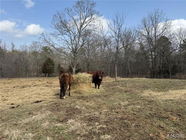 1547 Madison 248, Fredericktown, MO 63645