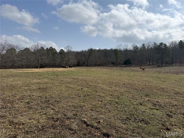 1547 Madison 248, Fredericktown, MO 63645