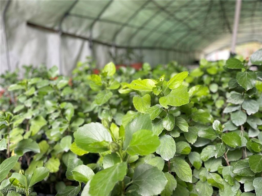 2185 Markley AVE, Naples, FL 34117