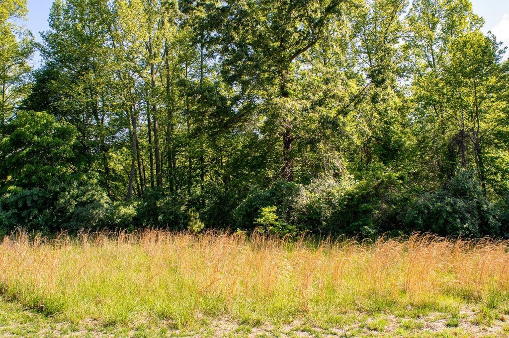 0 Watchtower Drive, Moneta, VA 24121