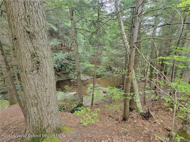 172 Eagles Ridge Way, Parksville, NY 12768