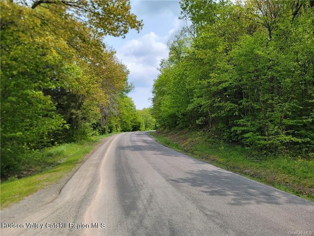 172 Eagles Ridge Way, Parksville, NY 12768