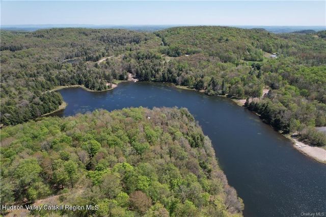 172 Eagles Ridge Way, Parksville, NY 12768