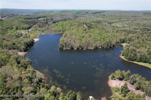 172 Eagles Ridge Way, Parksville, NY 12768