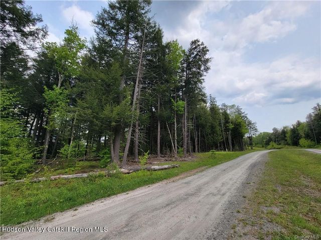 172 Eagles Ridge Way, Parksville, NY 12768