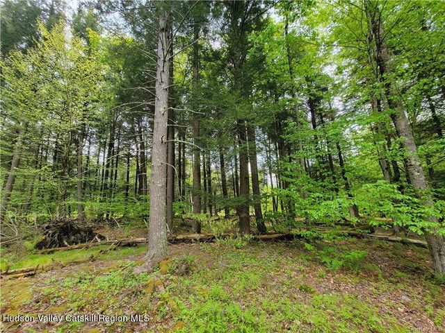 172 Eagles Ridge Way, Parksville, NY 12768