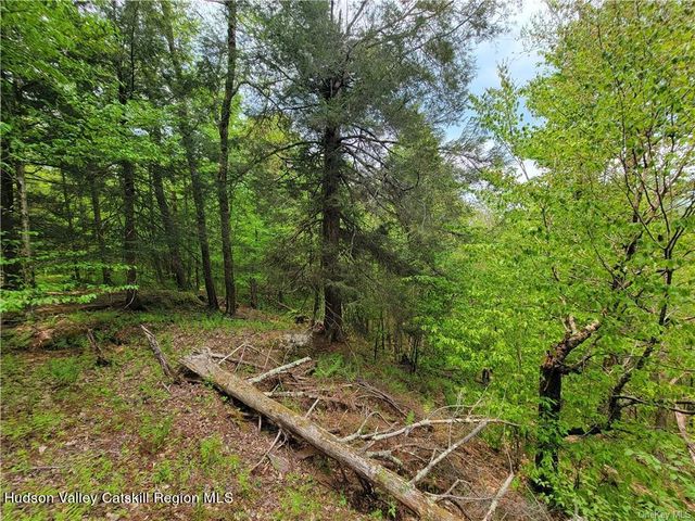 172 Eagles Ridge Way, Parksville, NY 12768