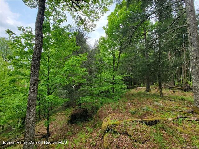 172 Eagles Ridge Way, Parksville, NY 12768