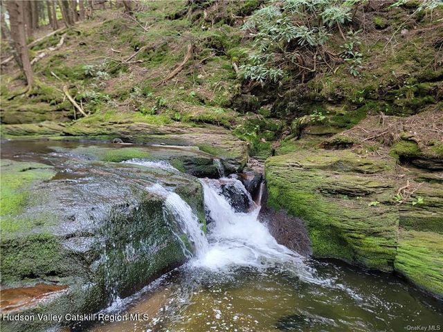 172 Eagles Ridge Way, Parksville, NY 12768