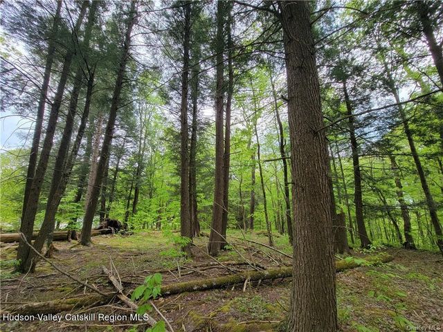 172 Eagles Ridge Way, Parksville, NY 12768