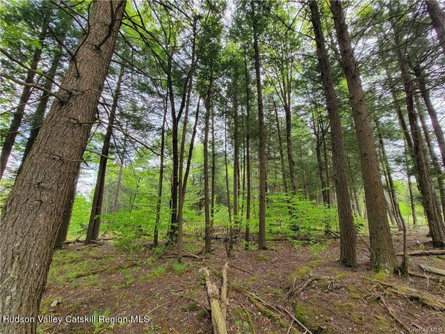 172 Eagles Ridge Way, Parksville, NY 12768