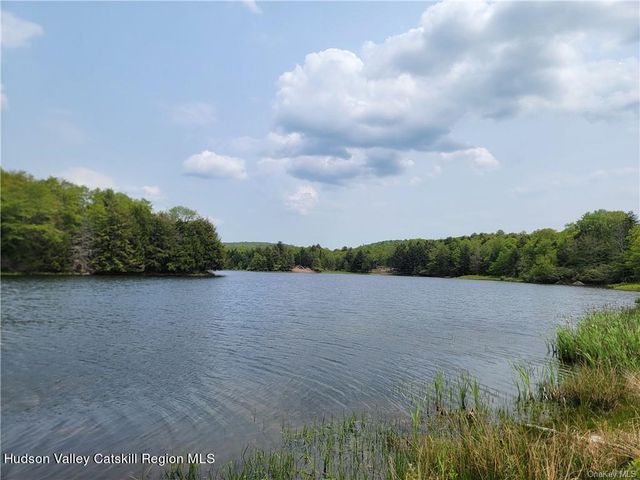 172 Eagles Ridge Way, Parksville, NY 12768