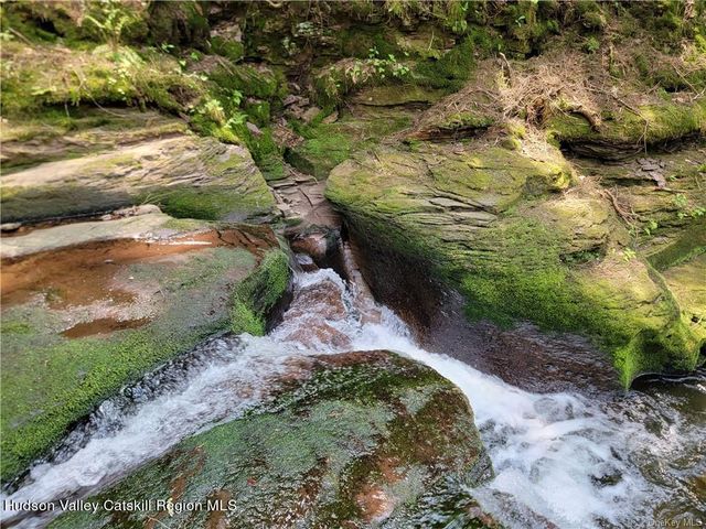 172 Eagles Ridge Way, Parksville, NY 12768