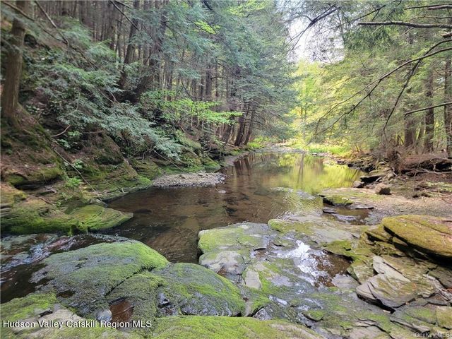 172 Eagles Ridge Way, Parksville, NY 12768