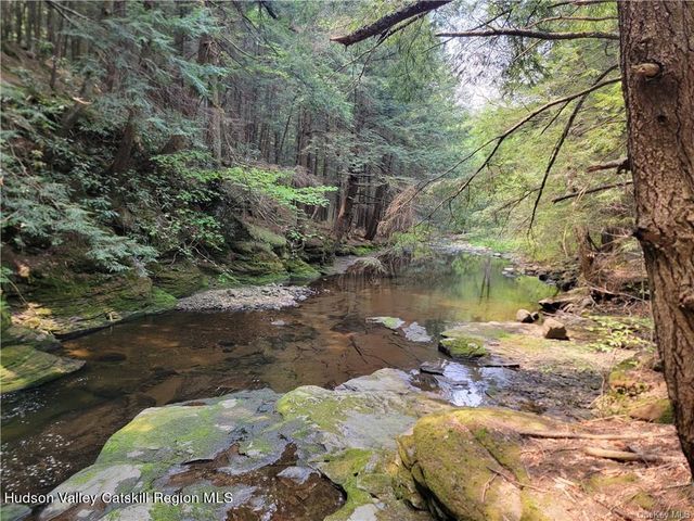 172 Eagles Ridge Way, Parksville, NY 12768