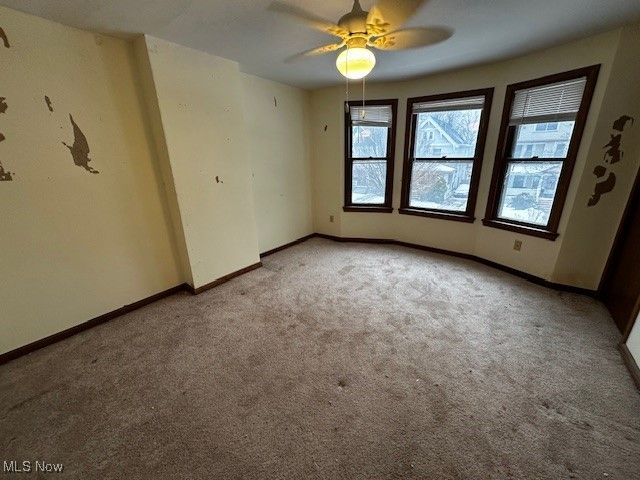 1489 Wyandotte Avenue, Lakewood, OH 44107