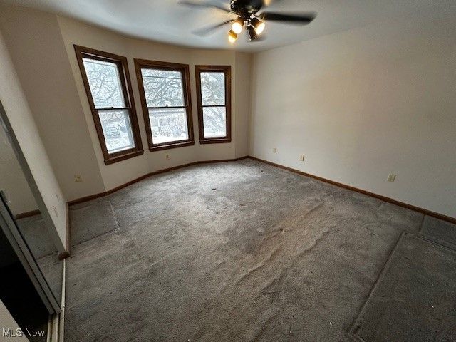 1489 Wyandotte Avenue, Lakewood, OH 44107