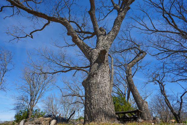 TR 11 HALEY LANE, Medina, TX 78055