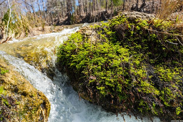 TR 11 HALEY LANE, Medina, TX 78055