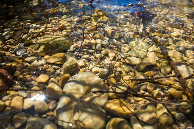 TR 11 HALEY LANE, Medina, TX 78055