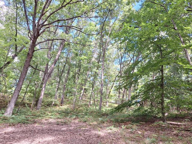 8315 Ramsdell Drive, Rockford, MI 49341