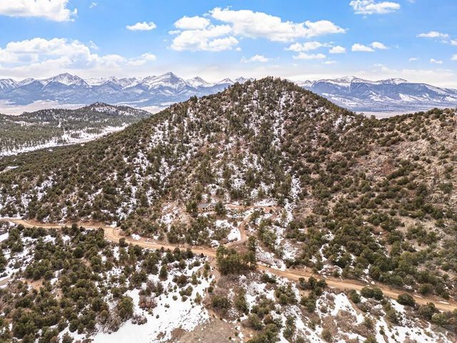1301 Pheasant Loop, Westcliffe, CO 81252