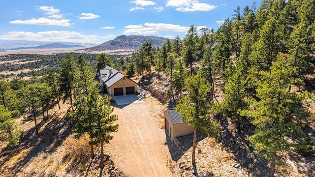 1301 Pheasant Loop, Westcliffe, CO 81252