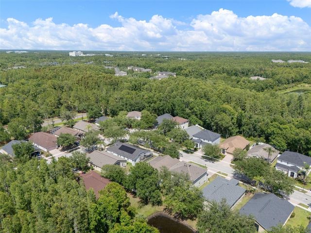 16230 NOTTINGHAM PARKWAY, Tampa, FL 33647