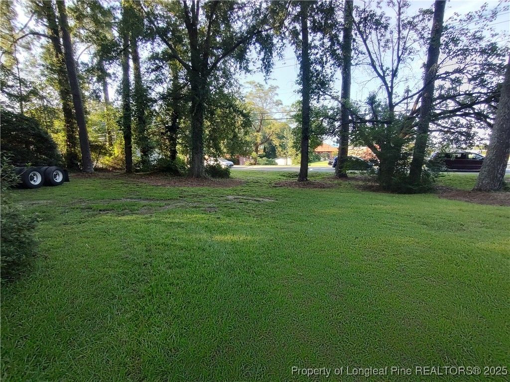 406 Courtland Drive, Sanford, NC 27330 — photo 4