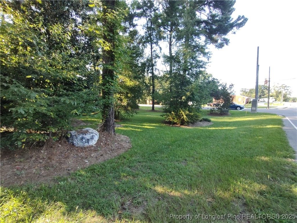 406 Courtland Drive, Sanford, NC 27330 — photo 5