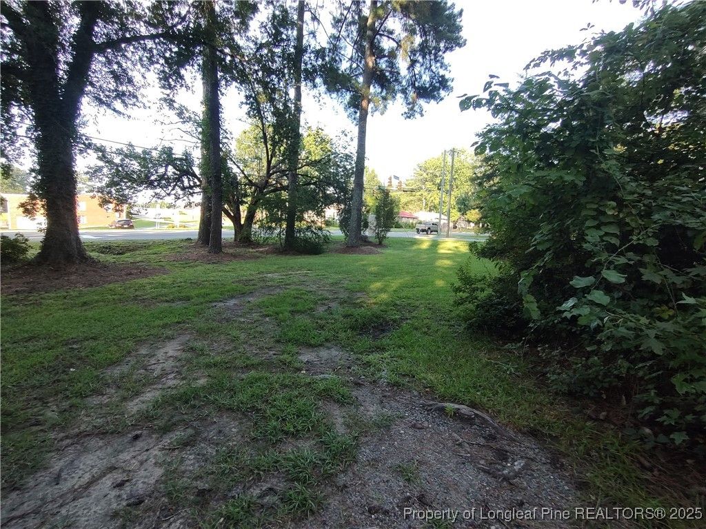 406 Courtland Drive, Sanford, NC 27330 — photo 6